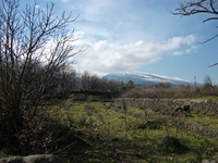 cantara piccole gole19022012 048
